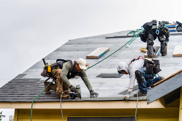 Professional Gutter Installation technician working in Lexington, TX